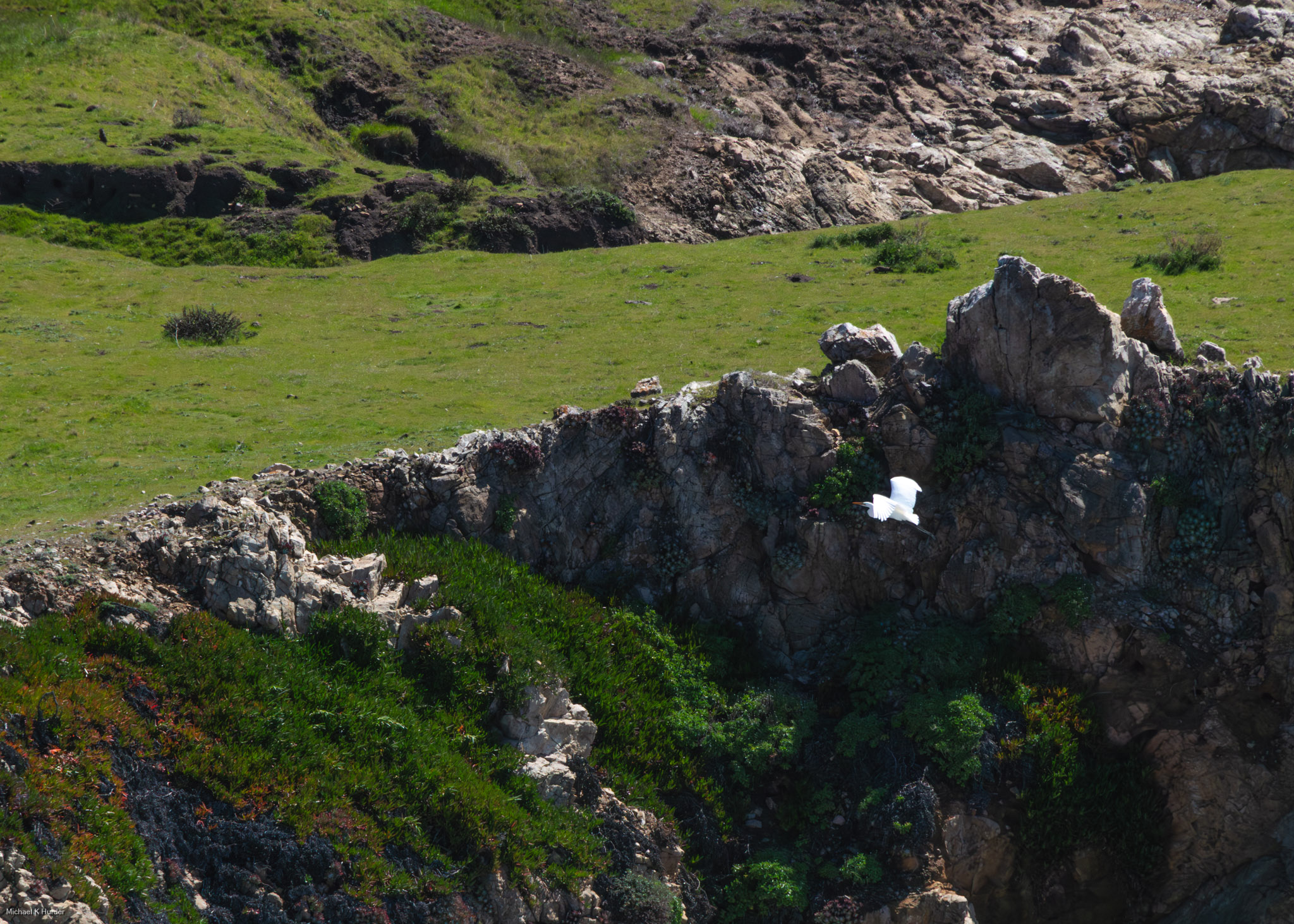 14Mar19-PhotoShow: This one was among my favorite road trips. I was a bit more comfortable with what I was doing even in the bright sun.